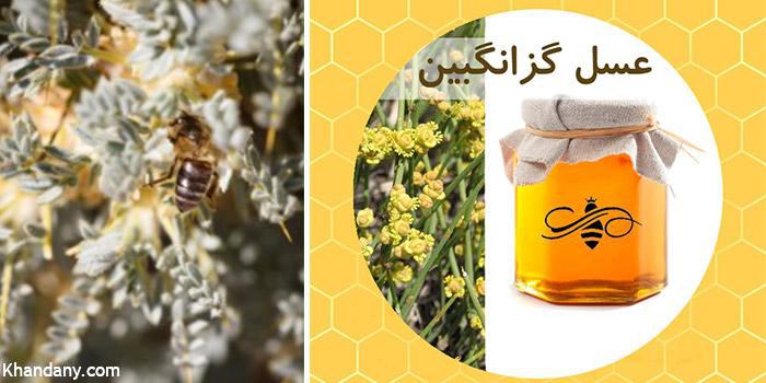 خواص عسل گزانگبين و فوايد مصرف آن